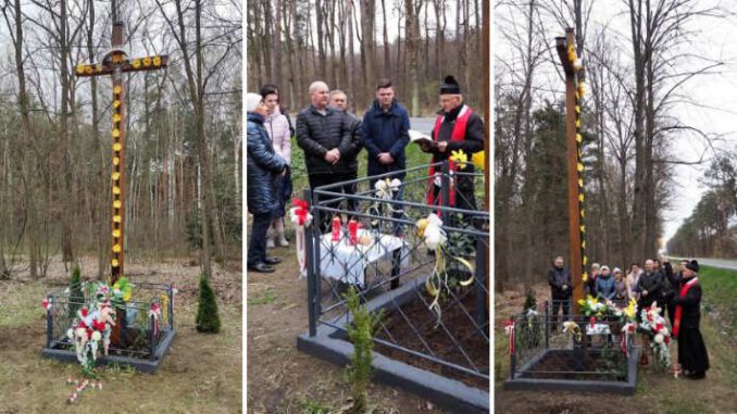 Podpalony krzyż po renowacji wrócił na swoje miejsce w Lesie Piątkowskim